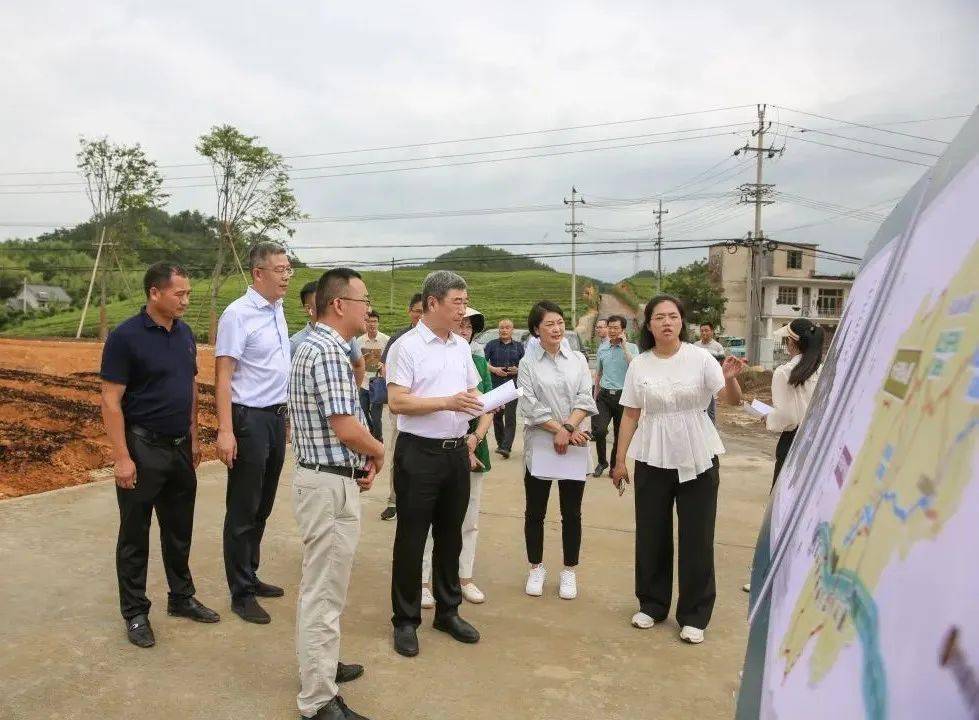 市农业农村局姚吉锋局长调研我区非粮化整治和高标准农田建设工作