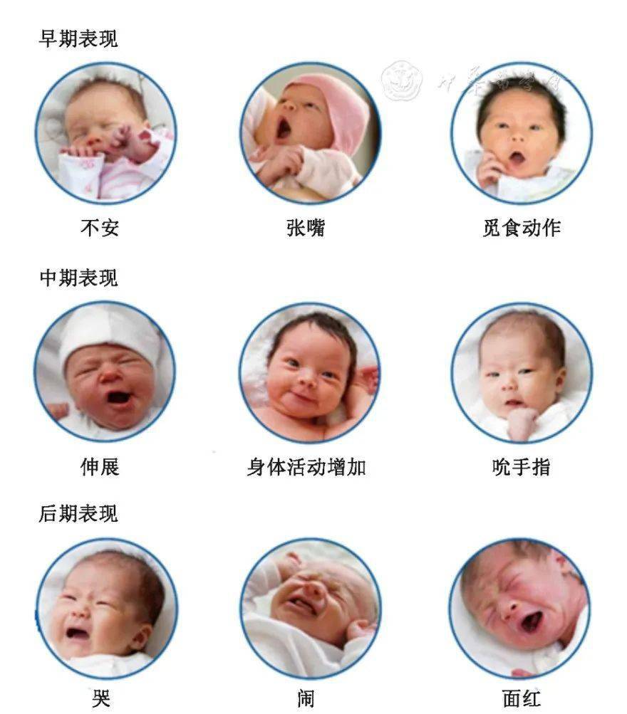 0~3岁婴幼儿喂养建议(基层医师版),附:中国婴幼儿喂养指南(2022)核心信息_补充_母亲_维生素