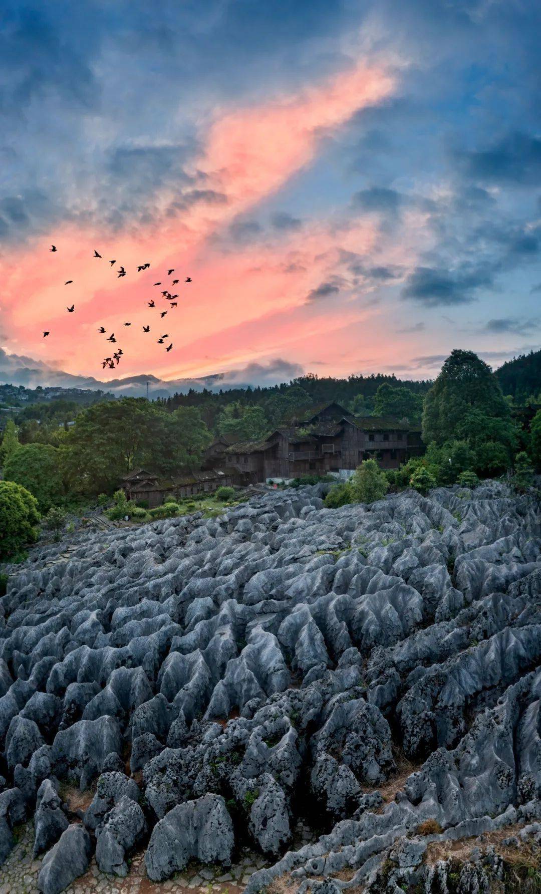 免票半价就在兴文