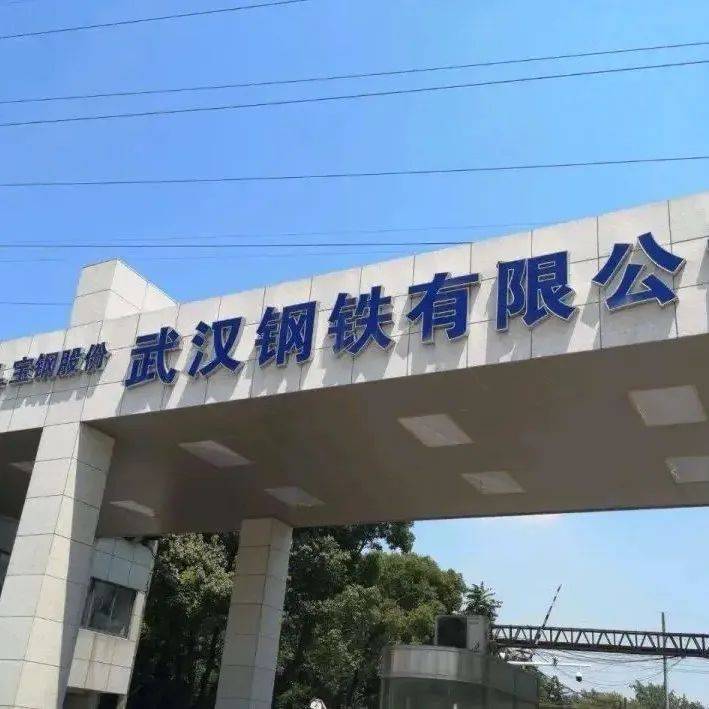 涉及产能116万吨!武钢有限、宝钢特钢炼钢产能出让!_来源_转炉_电炉