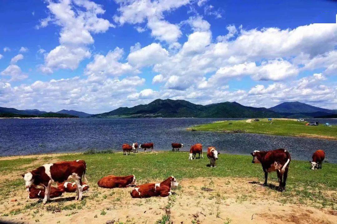 網紅打卡地西海浪旅遊休閒好去處