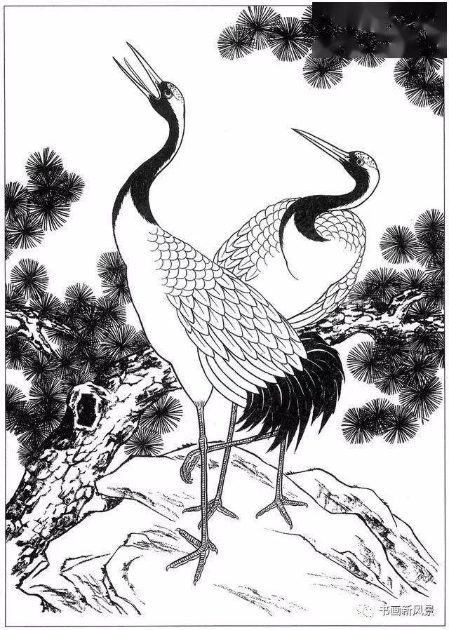 画鹤这是最优美的线条