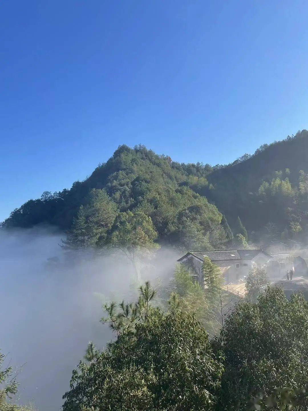 人在计算中明白天道在算计中远离了天道生活中的中医之美第二季连载06