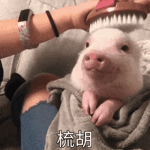 搞笑可爱表情包i你害怕大雨吗