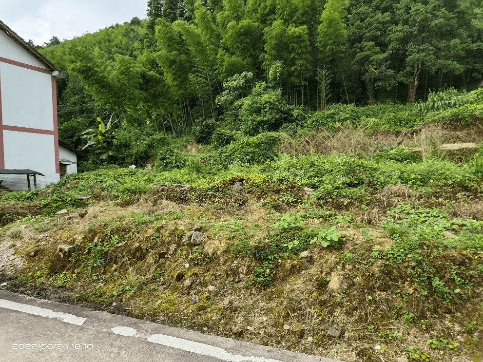 三塘镇神山村图片