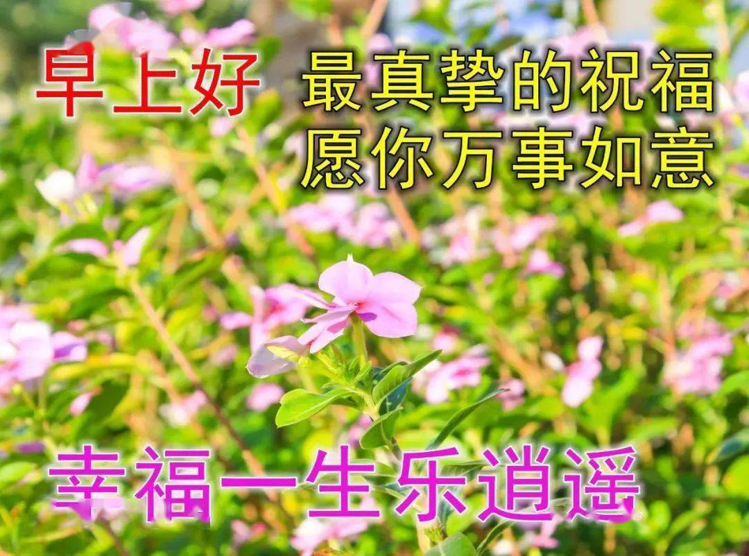 8張漂亮夏日風景早安圖片帶字帶祝福語免打字聊天的早上好問候祝福語