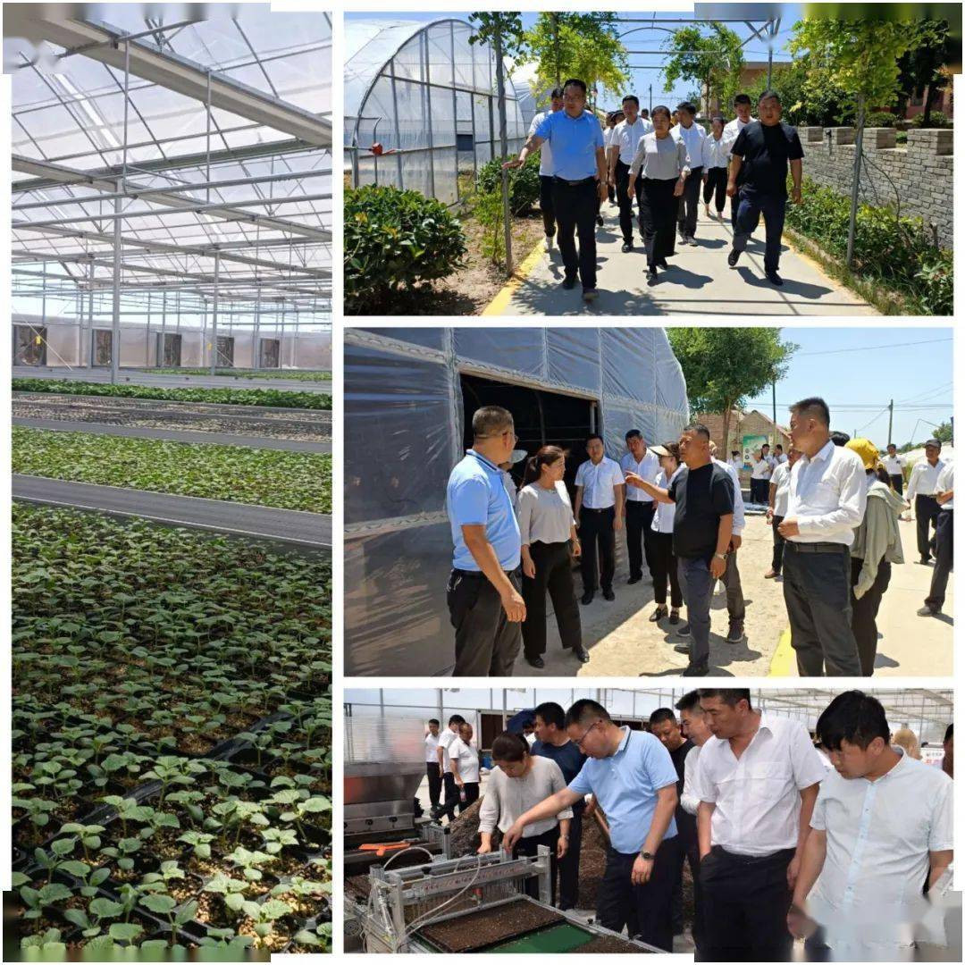 旬邑县各镇办单位开展庆七一主题党日活动一