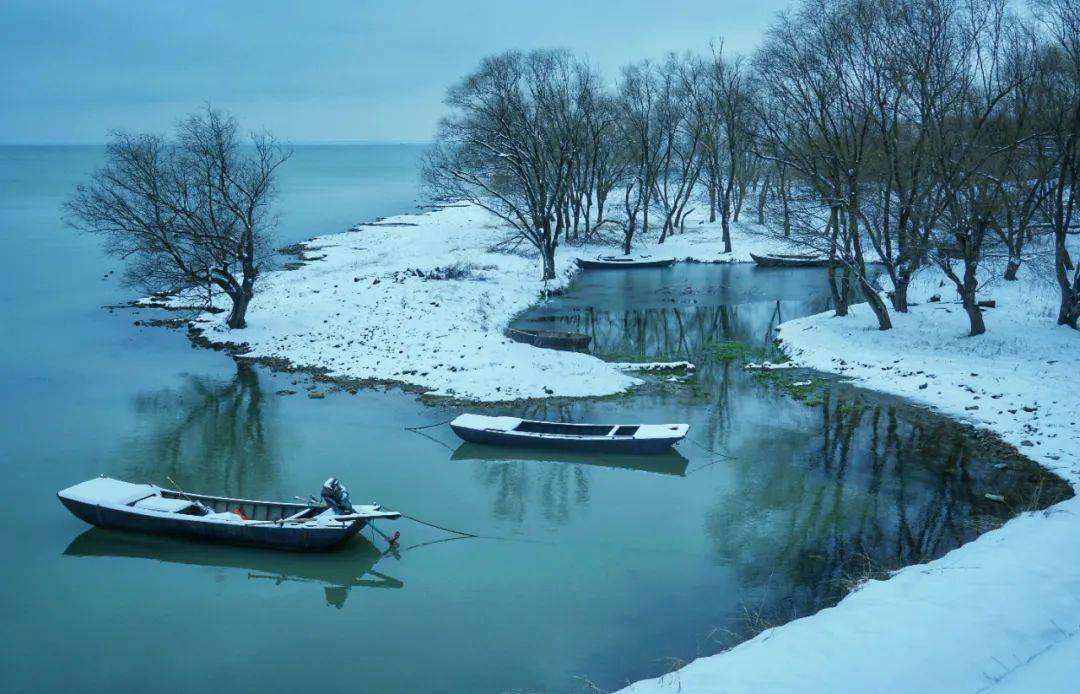 溼地雪韻據安徽巢湖半島國家溼地公園管理中心負責人吳玲玲介紹