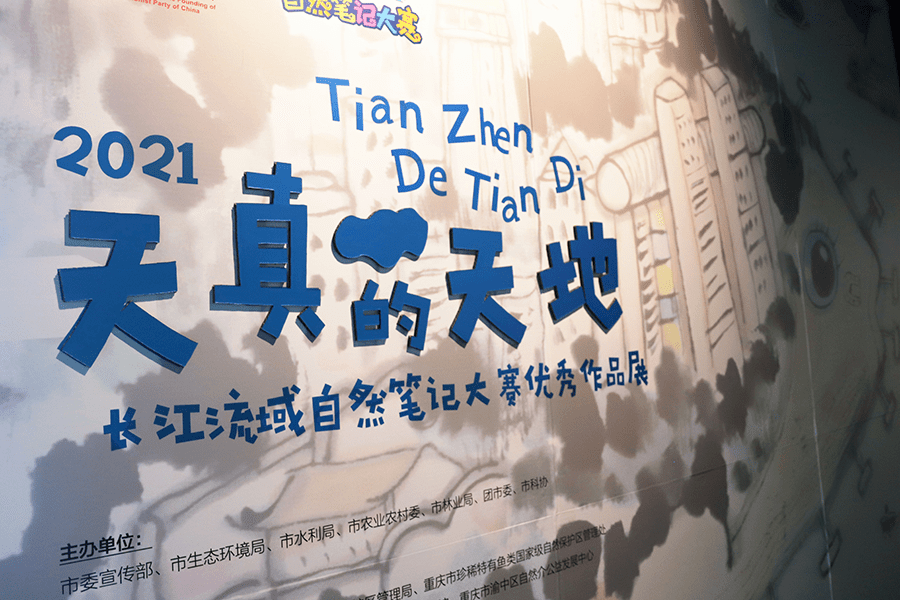 重庆2021自然笔记大赛图片