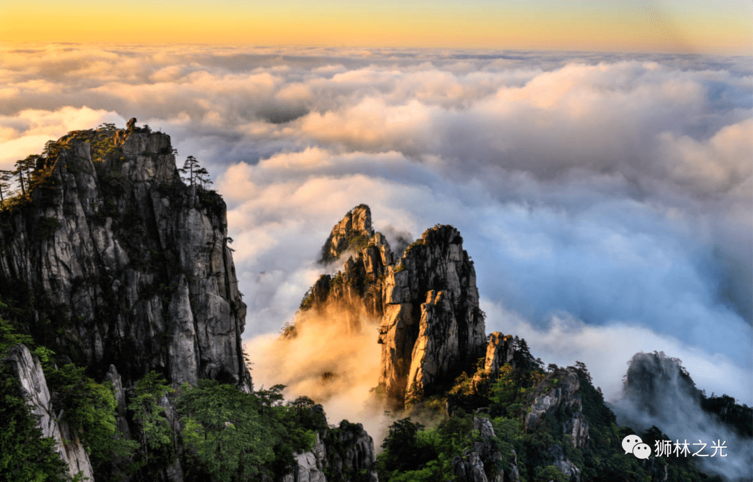 安徽人游安徽18度的夏天这个假期来黄山避暑吧