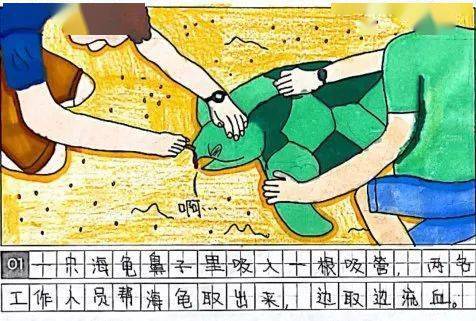 保护野生动物四联漫画图片