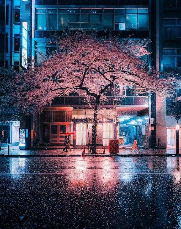 清爽的雨落在了整个城市，一个蓝发少年失神