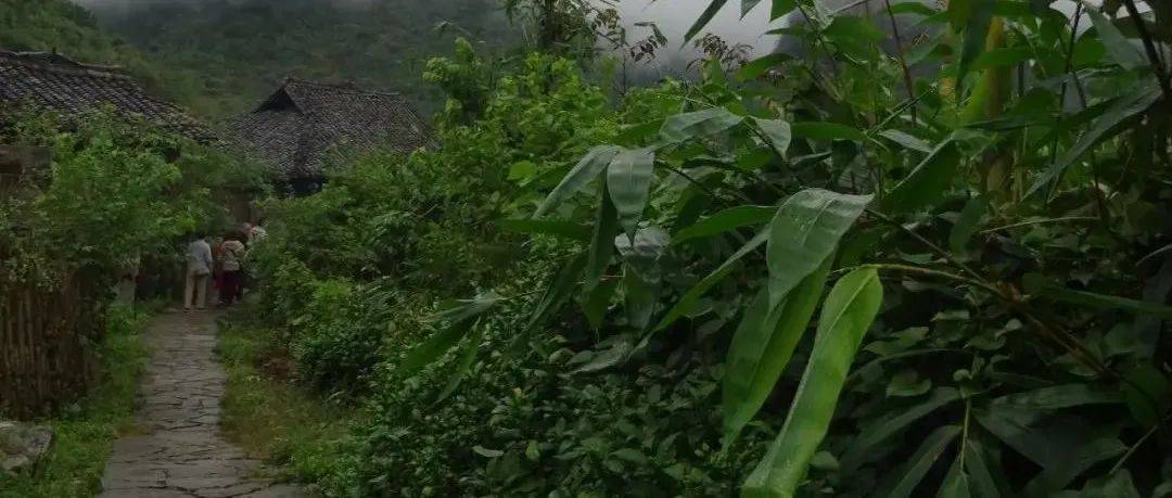 菜园子_瑶山_犁铧_木栅