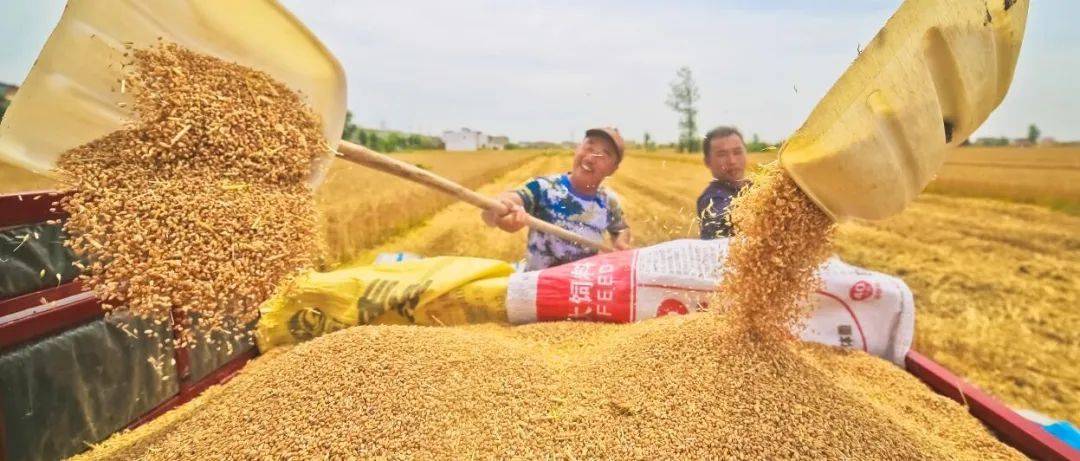 丰收的喜悦 前进的动力_回信_盛楠_穆可亮