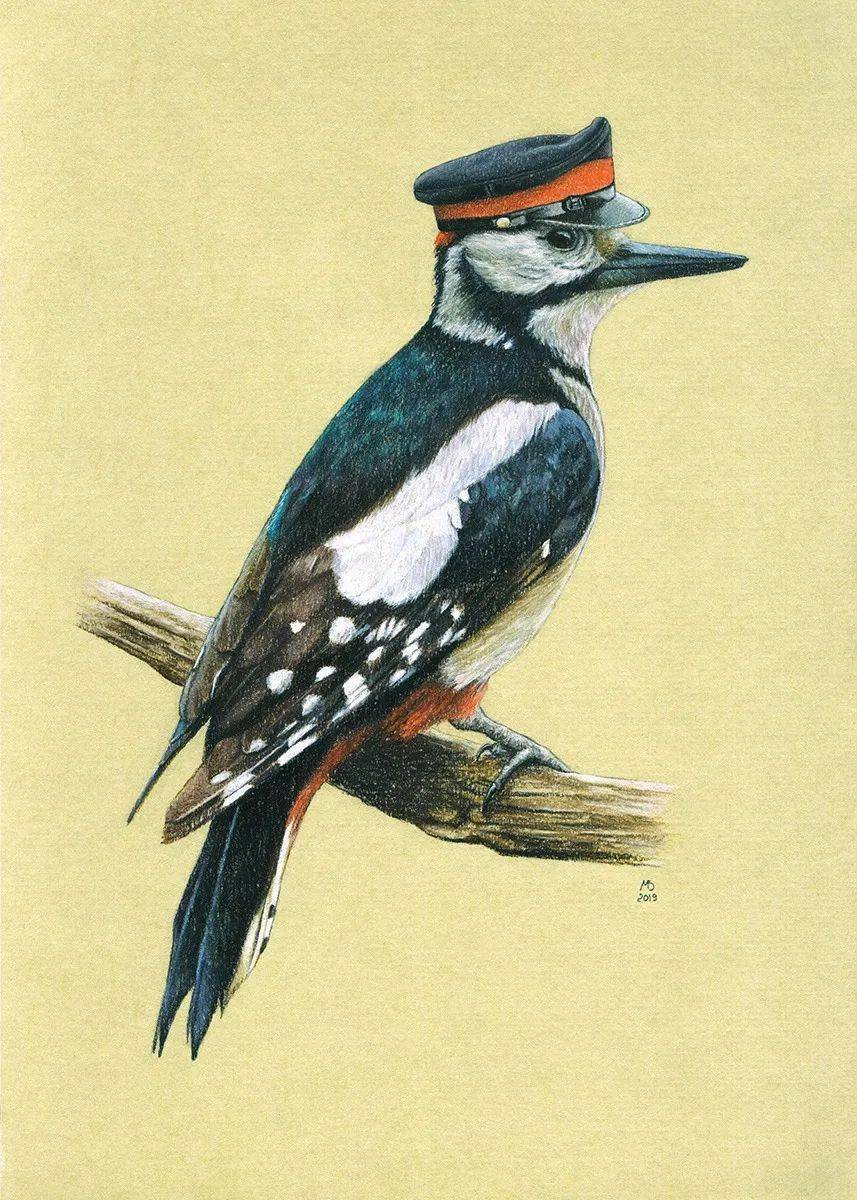 mikhailvedernikov你们见过戴帽子的鸟吗