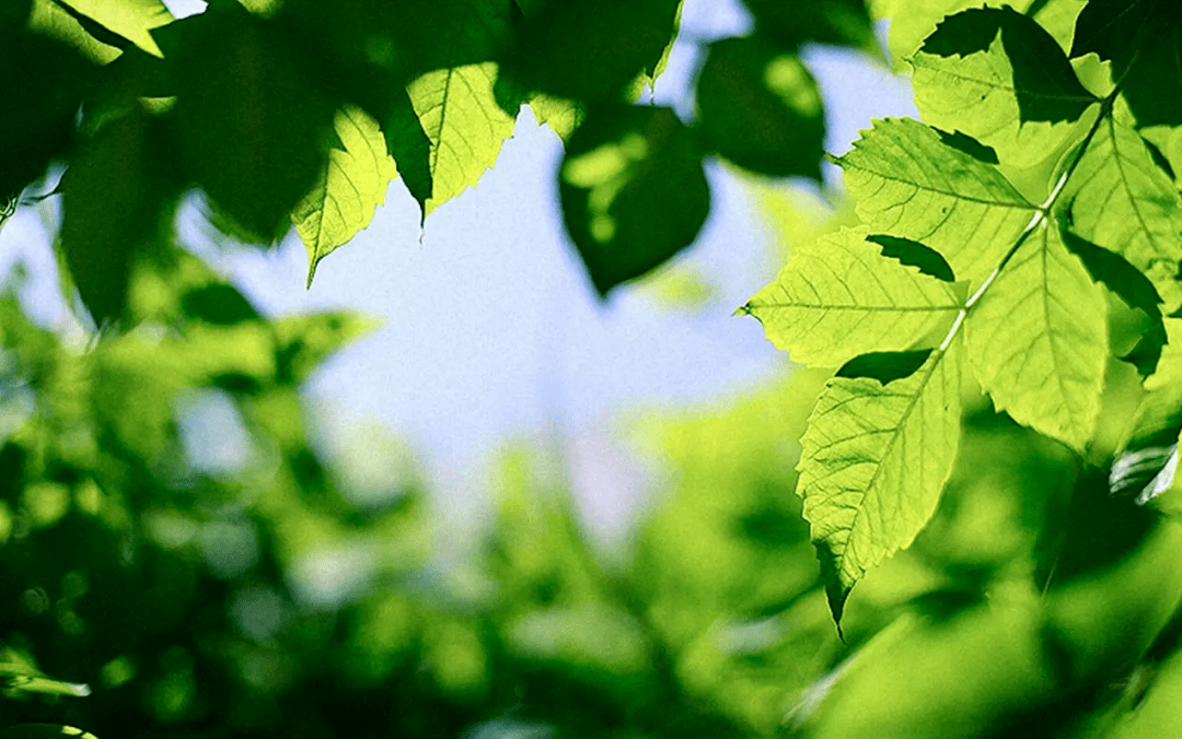 把所有的憂愁隨水逝流淌,把所有的煩惱消散在過往,敬往事一杯酒,六月