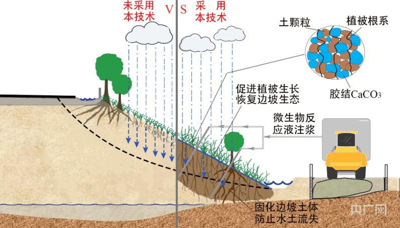 微生地固重科院团队修复边坡生态