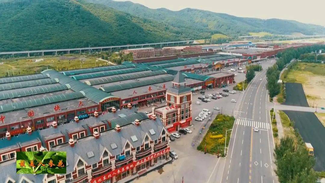 【最美人参花】舞动龙头唱大戏 产业化发展蕴新机_通化县_建设_投资