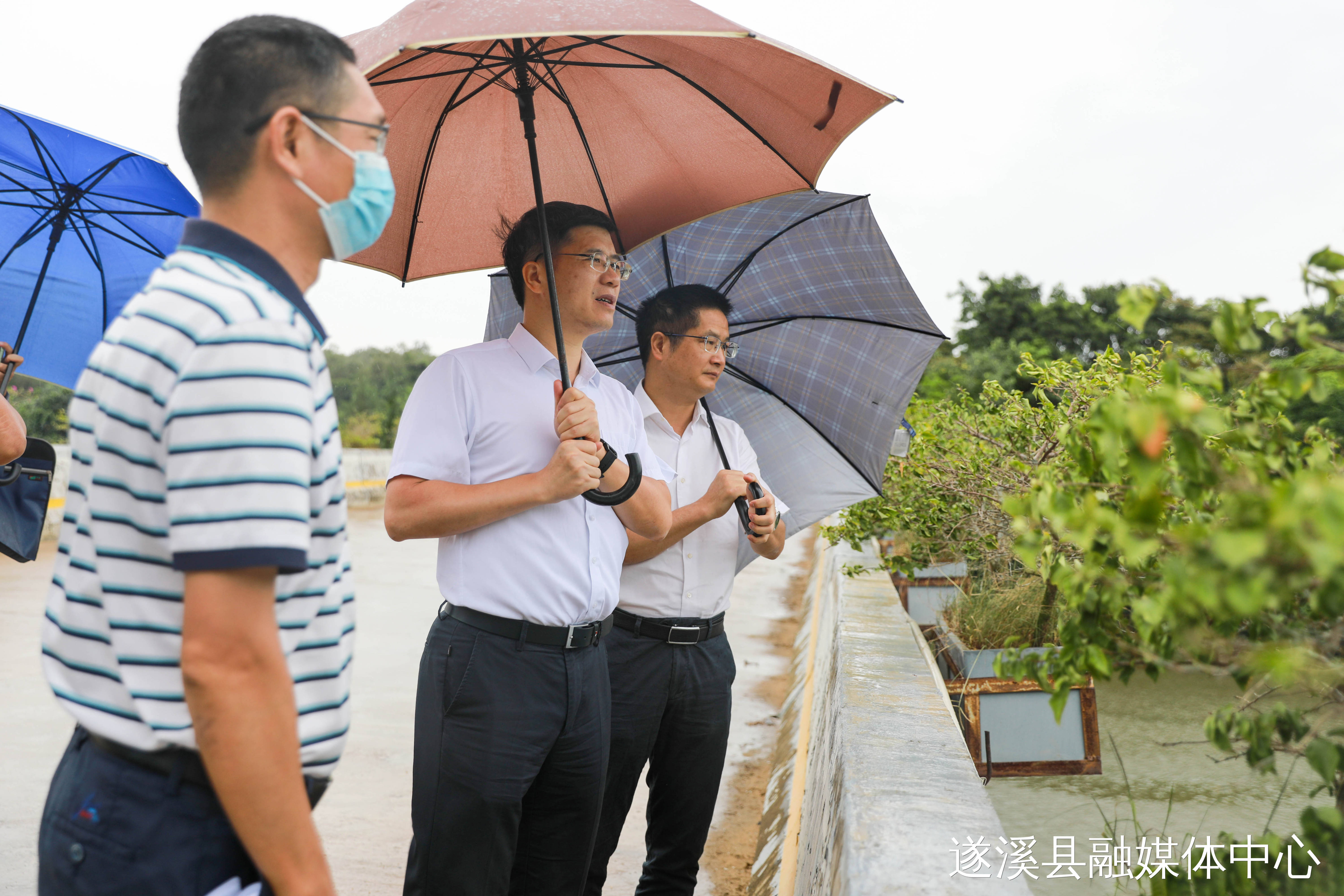 湛江市领导到遂溪县督导防御台风暹芭工作