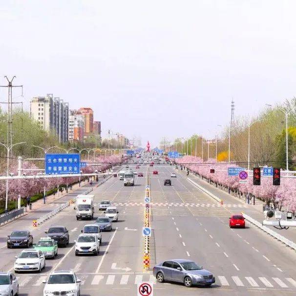 大美高密 | 组图:城市风光_赵永翔_作品_采样