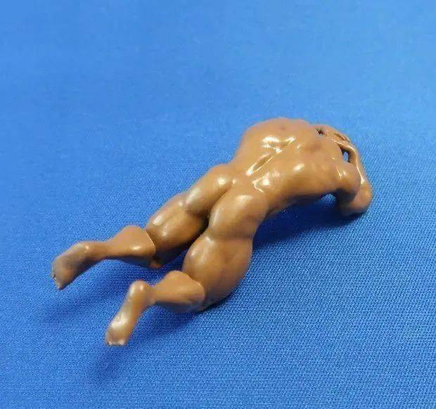 海王小姐姐驾到!_向轩_猛男_校区