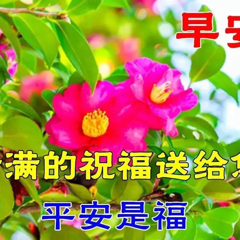 7月5日最新早上好祝福动态表情图片大全，早上好问候语句子！ 短信 阳光 心情