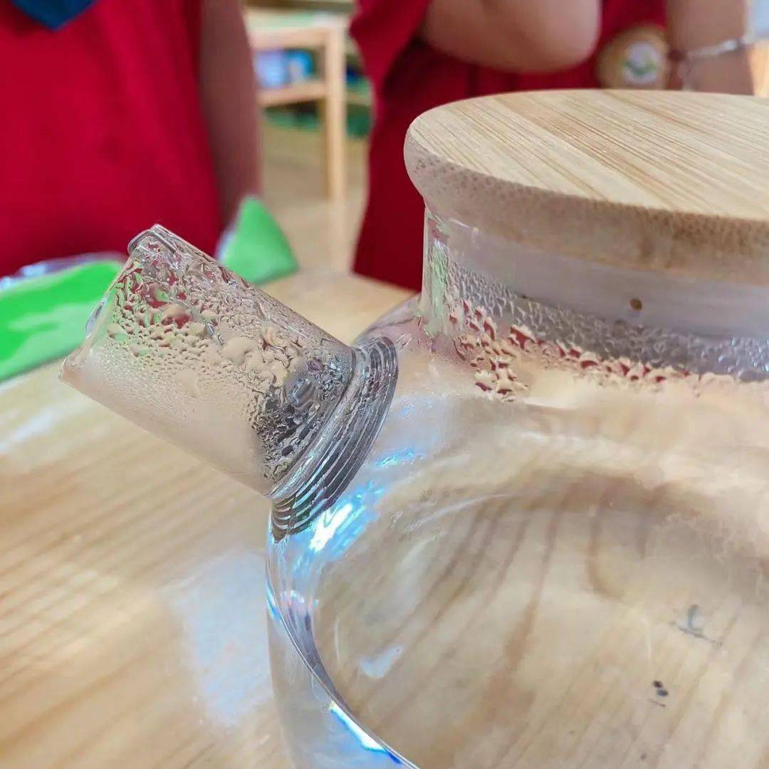 课程故事雨你一起泉州市洛江区第二实验幼儿园2022春中四班课程故事
