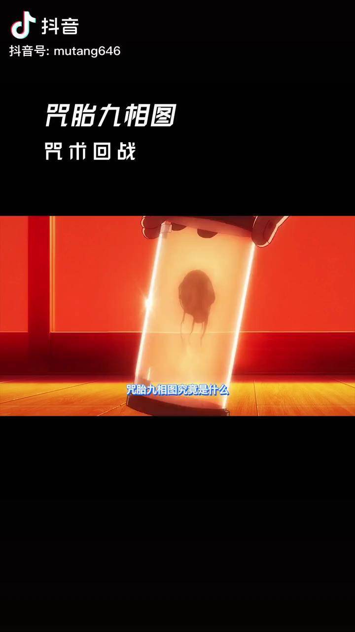 咒胎九相图~咒术回战