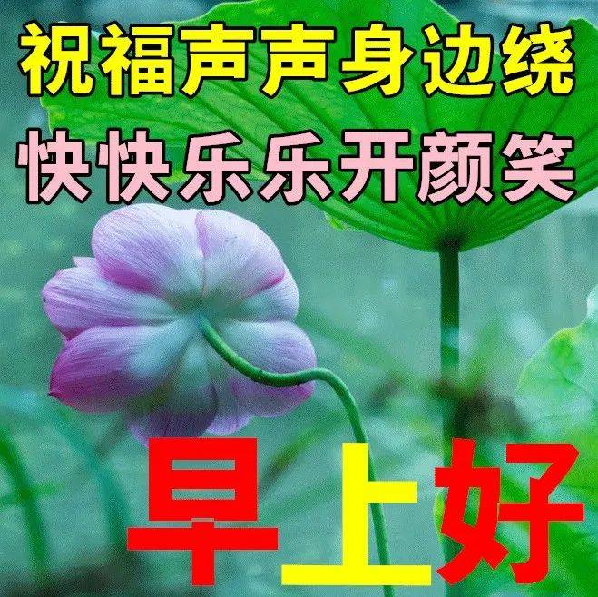 7月6日最新早上好祝福动态表情图片大全，早上好问候语句子！ 风景 人生 好运