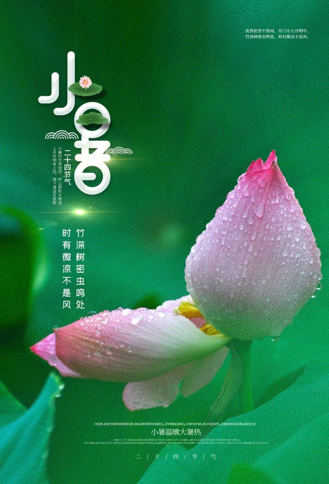 7月7日小暑早安正能量唯美语录句子2022小暑图片文案说说大全