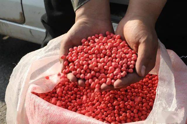 说起国产大豆的事儿这位省政协委员语气急切