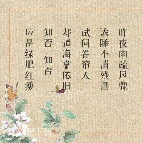 【每日一诗】李清照:如梦令·昨夜雨疏风骤(1645)_大鹏_公众_邮箱