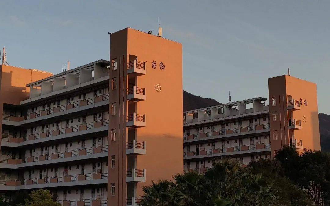 招生季等陌上花开等长风乍起等你报考龙岩学院