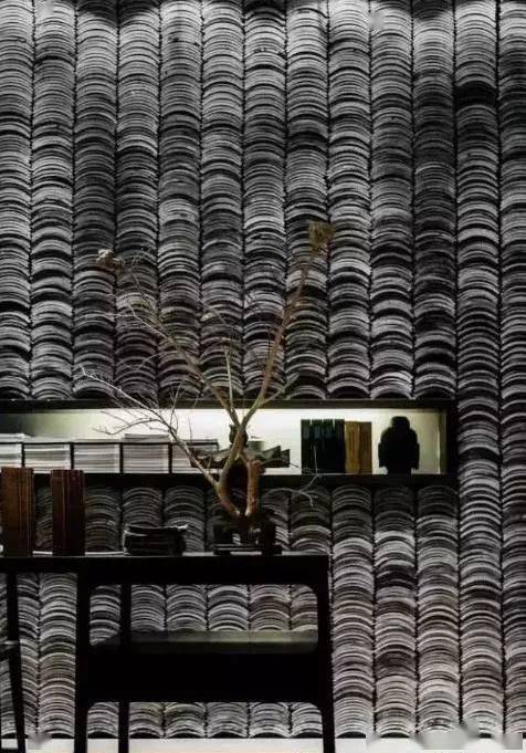 庭院之——瓦上的艺术_昙花_瓦片_波罗蜜