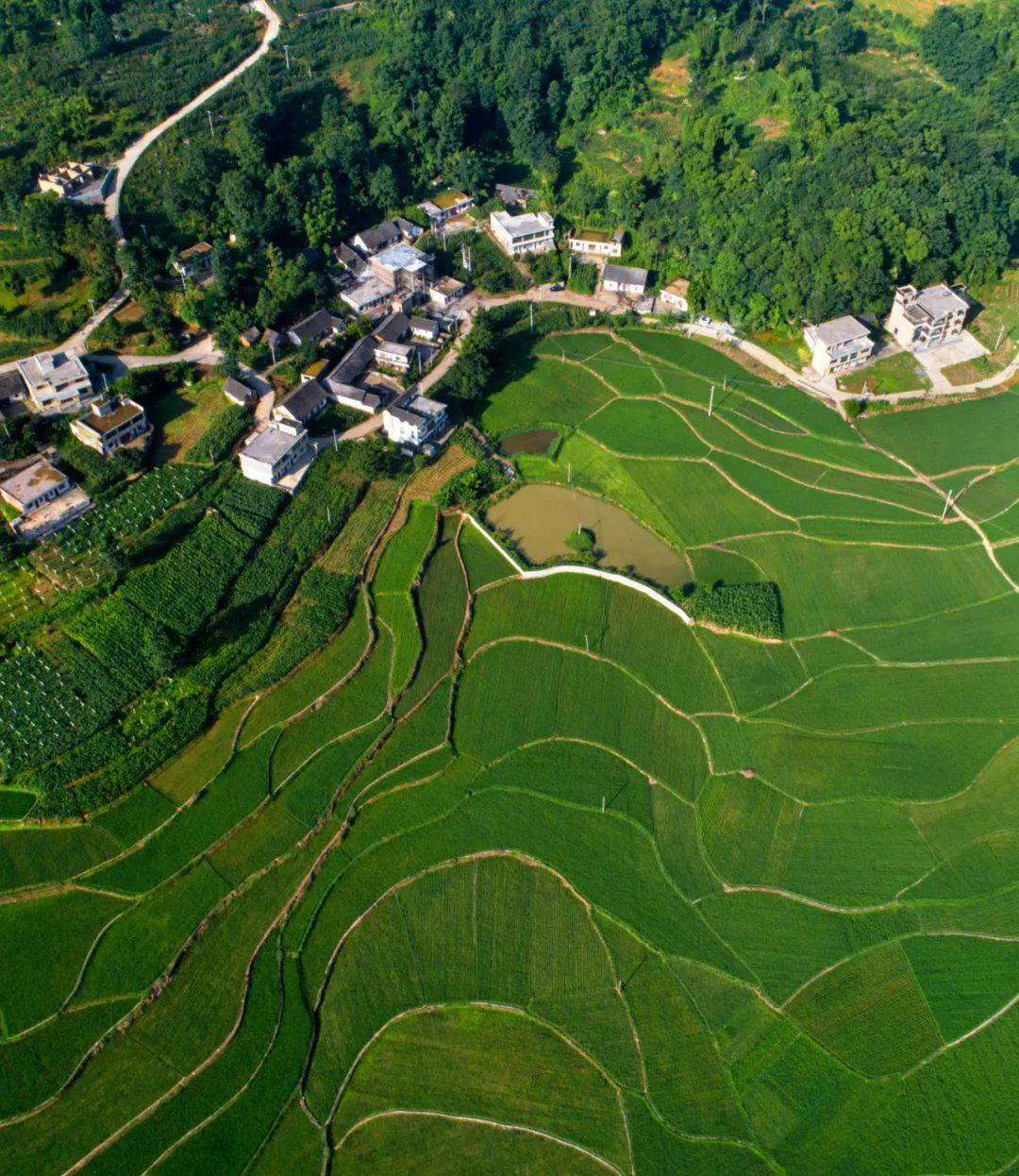 盛夏时节跟着航拍看黔西乡村美景