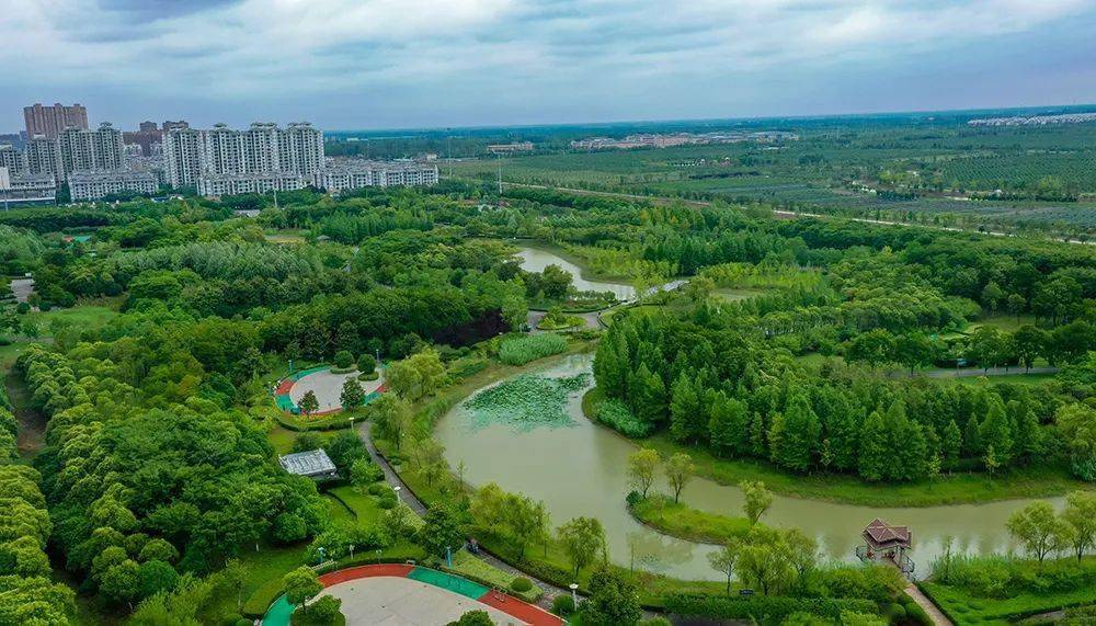美丽生态丨宿迁泗洪:生态"绿肺"扮靓家园_世纪公园_城市_审核