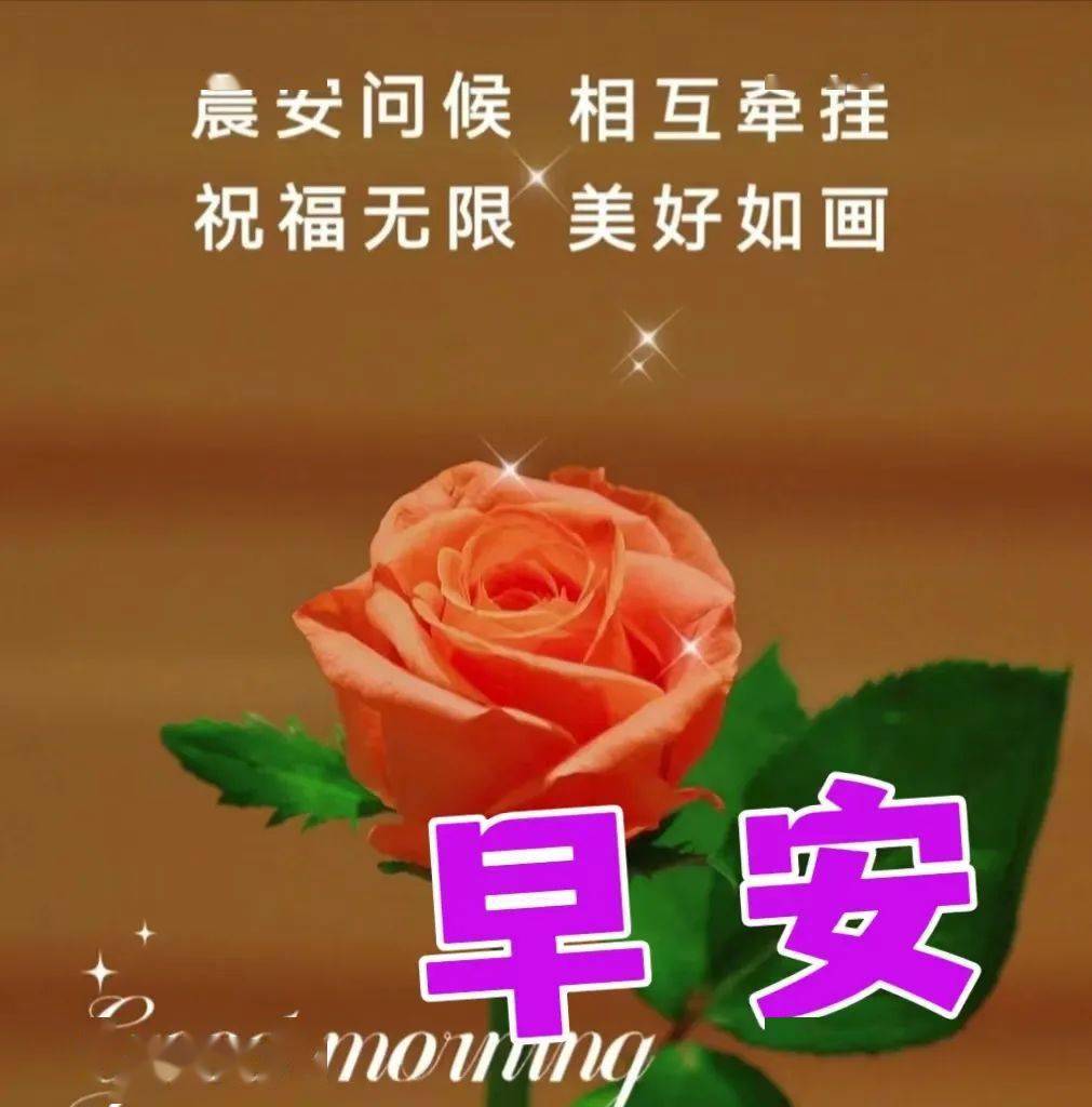 7月11日早安祝福精选图文大全愿我的问候给你送来清凉凉爽舒心早上好
