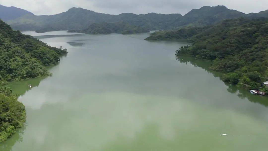 揭陽加強水庫管理築牢飲用水安全屏障