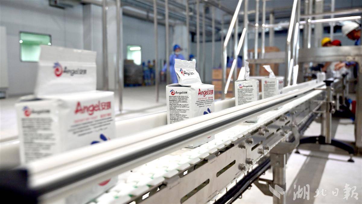 安琪酵母绿色基地试生产