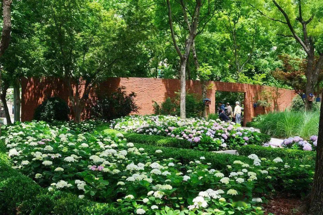 近年来,静安绿化部门建成同福街心花园,音花园,威海路街心花园,曹家渡