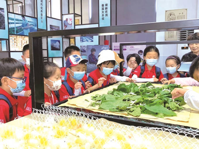 苏州:"童学震泽"研学品牌热起来_太湖_蚕桑_乡村