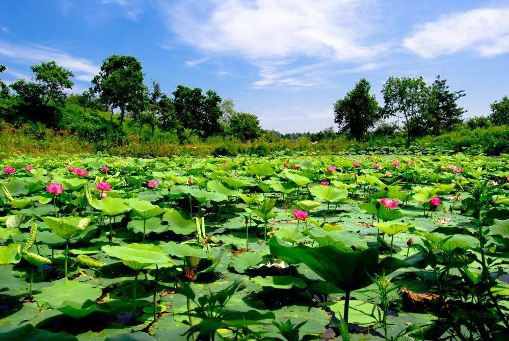 铜川"清凉怡夏"避暑季推出多项精彩活动_景区_优惠_门票