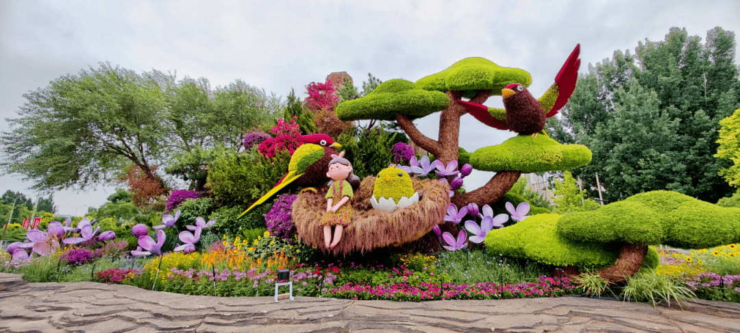 京花 扮靓内蒙三城 10座花坛惊艳亮相 呼和浩特 包头 园林