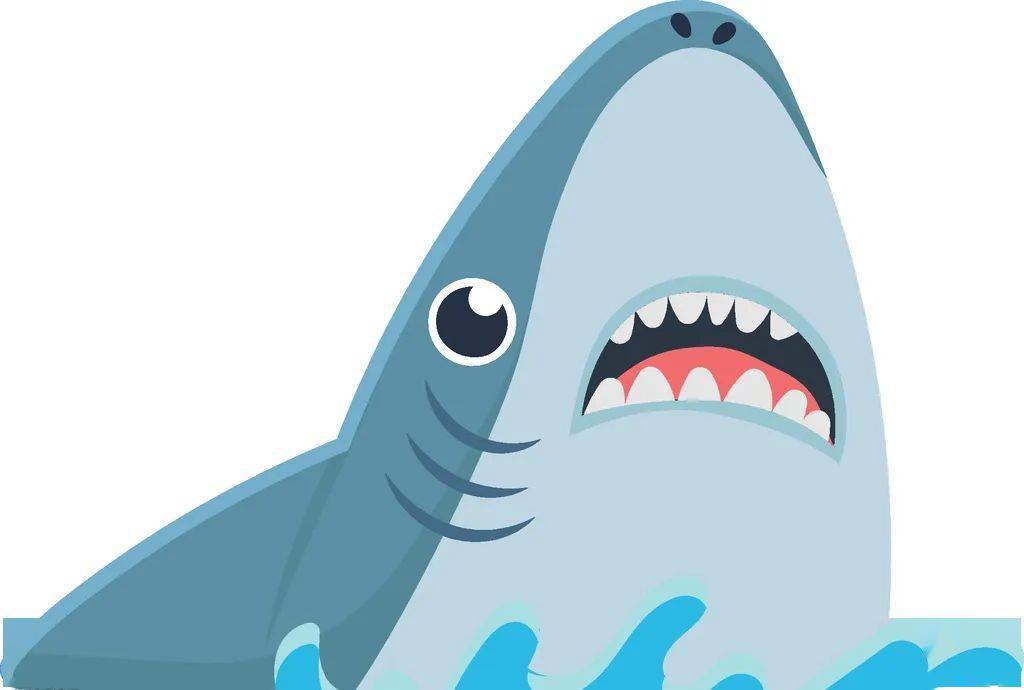 保护鲨鱼手抄报英语图片