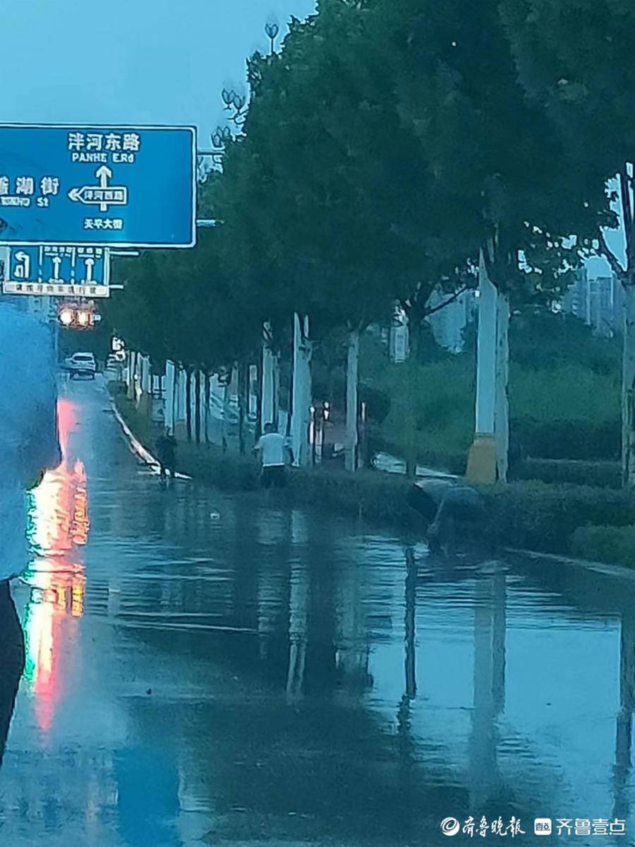 感谢你们，在暴雨中挺身而出的泰安好心人！_杂草_车辆_下水道
