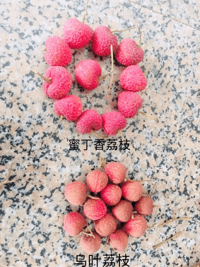 【蜜丁香荔枝王】小焦核,个头比其他荔枝略大!仅59元=价值108元3斤装;79元=价值158元5斤装!有着淡淡丁香味~_果肉_理赔_问题