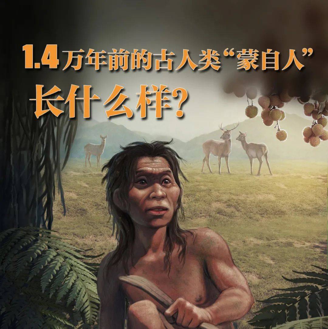 1.4万年前的古人类“蒙自人”,长什么样?_于马鹿_头盖骨_中国