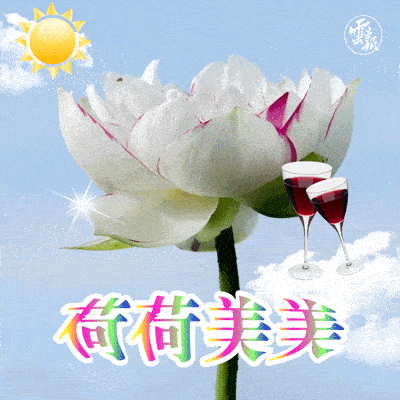 该更新你的表情包和头像了_荷花_普者黑_三川镇