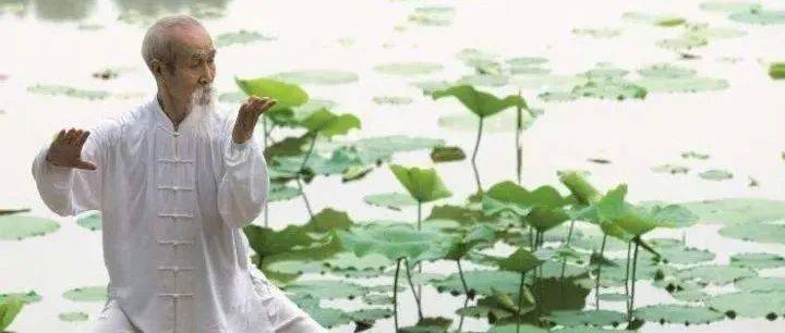 动以养形,静以养神;穷以养志,富以养德!_动静_时候_有动