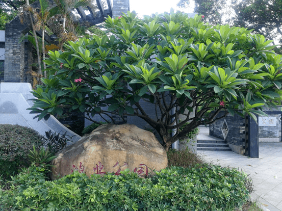 公園內設有大面積的體育活動場地和運動健身設施,配有1個籃球場,1個